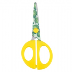 Kids Scissors